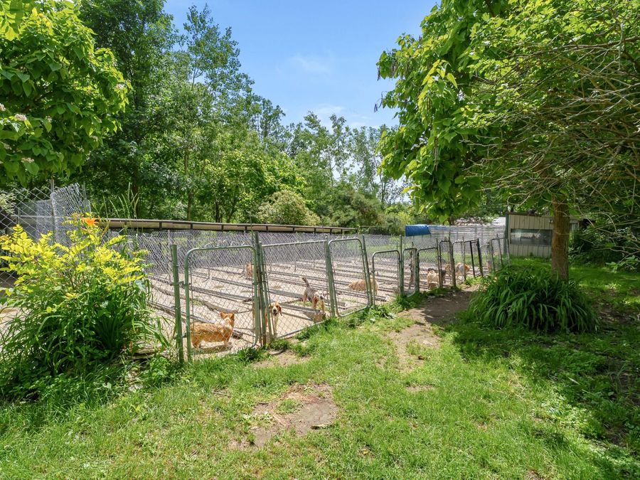 Property Image 60