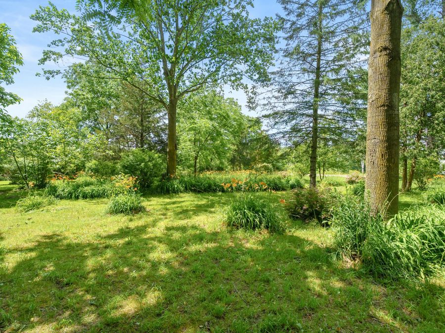 Property Image 62