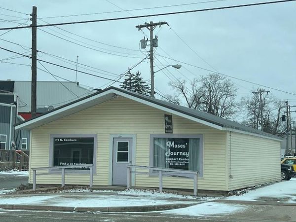 119 N Camburn Street, Stanton, MI 48888