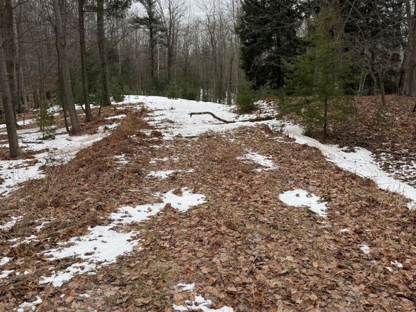 West Fox Farm Road, Manistee, MI 49660