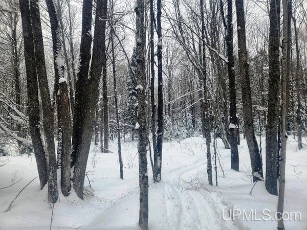 TBD Oss Road, Crystal Falls Twp, MI 49920