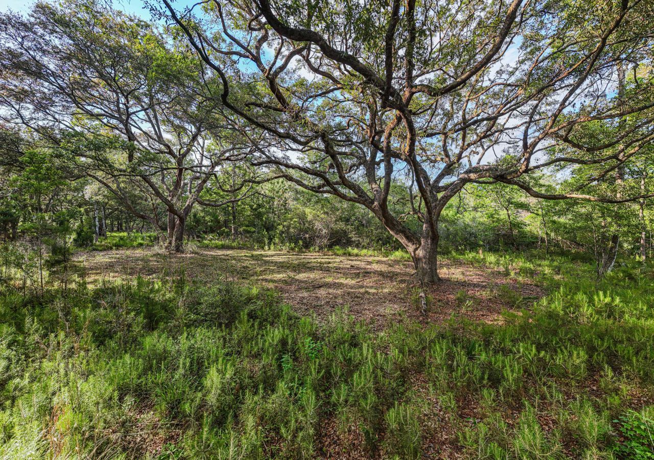 0 King Rail Lane Photo 20