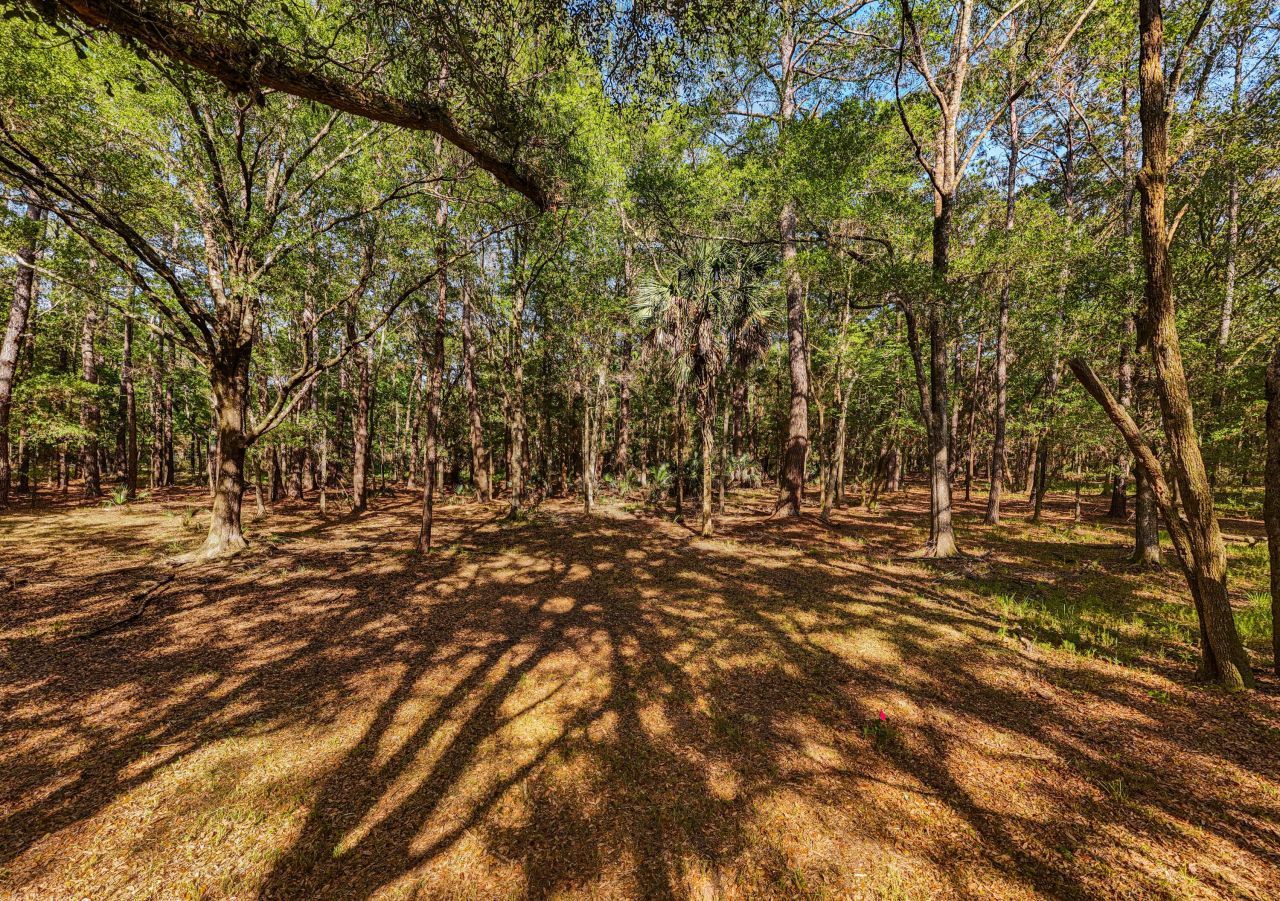 0 King Rail Lane Photo 39