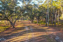 0 King Rail Lane photo 4