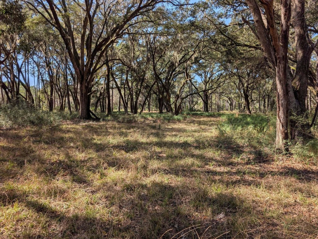 0 King Rail Lane Photo 50