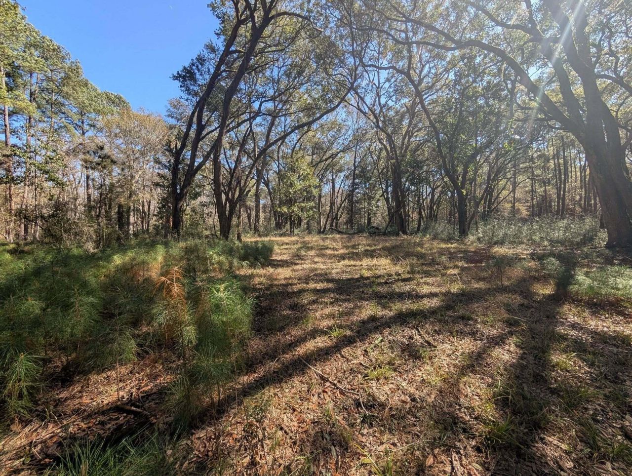 0 King Rail Lane Photo 51