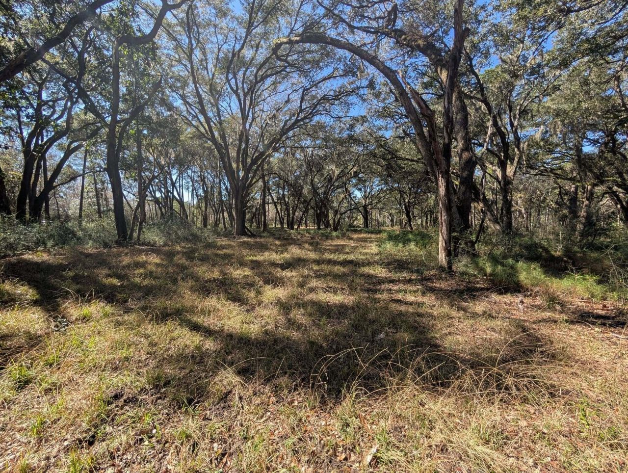 0 King Rail Lane Photo 58