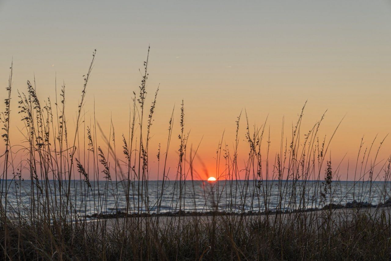 0 King Rail Lane Photo 64