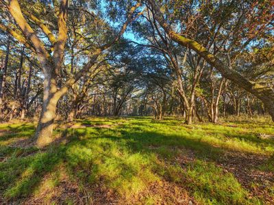 0 King Rail Lane, Edisto Island, SC 29438