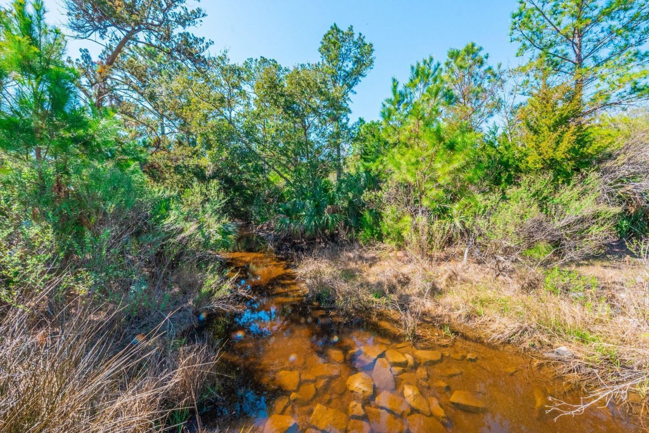 0 King Rail Lane Photo 12