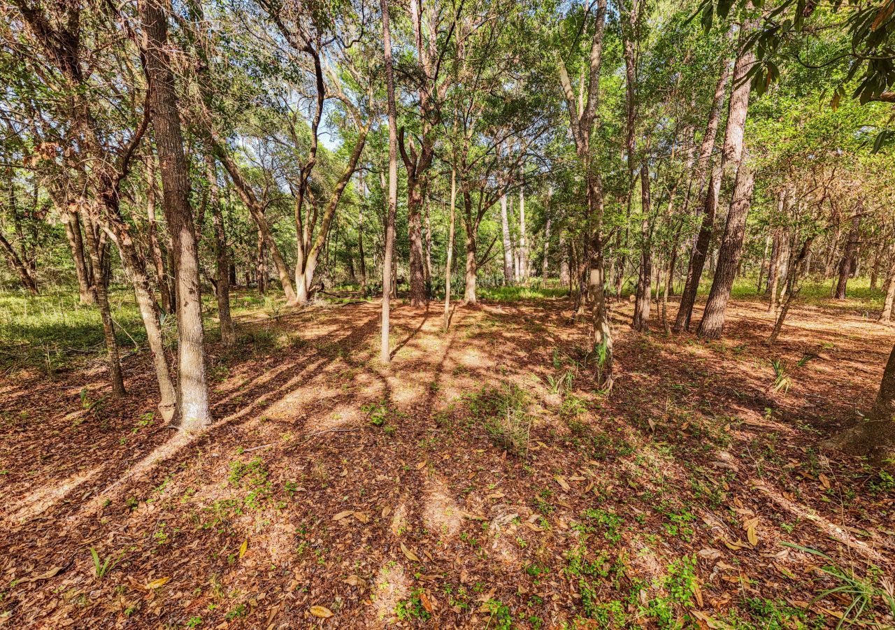 0 King Rail Lane Photo 31