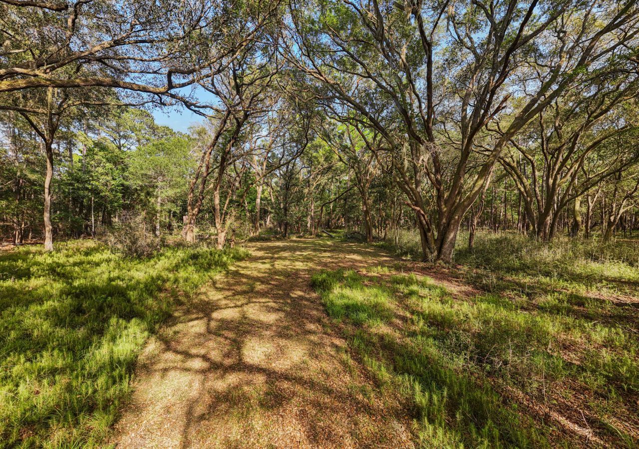 0 King Rail Lane Photo 33