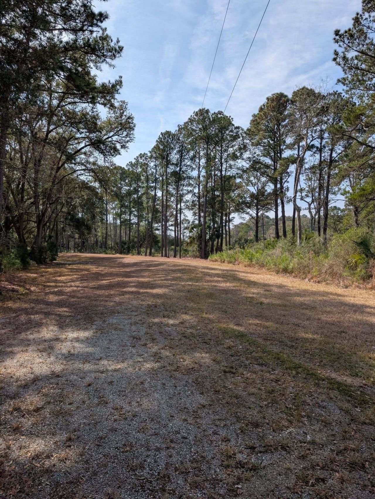 0 King Rail Lane Photo 61