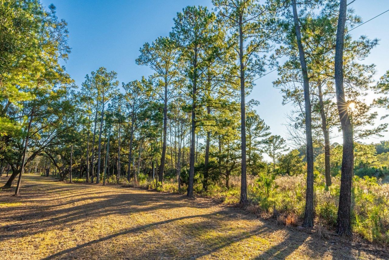 0 King Rail Lane Photo 8