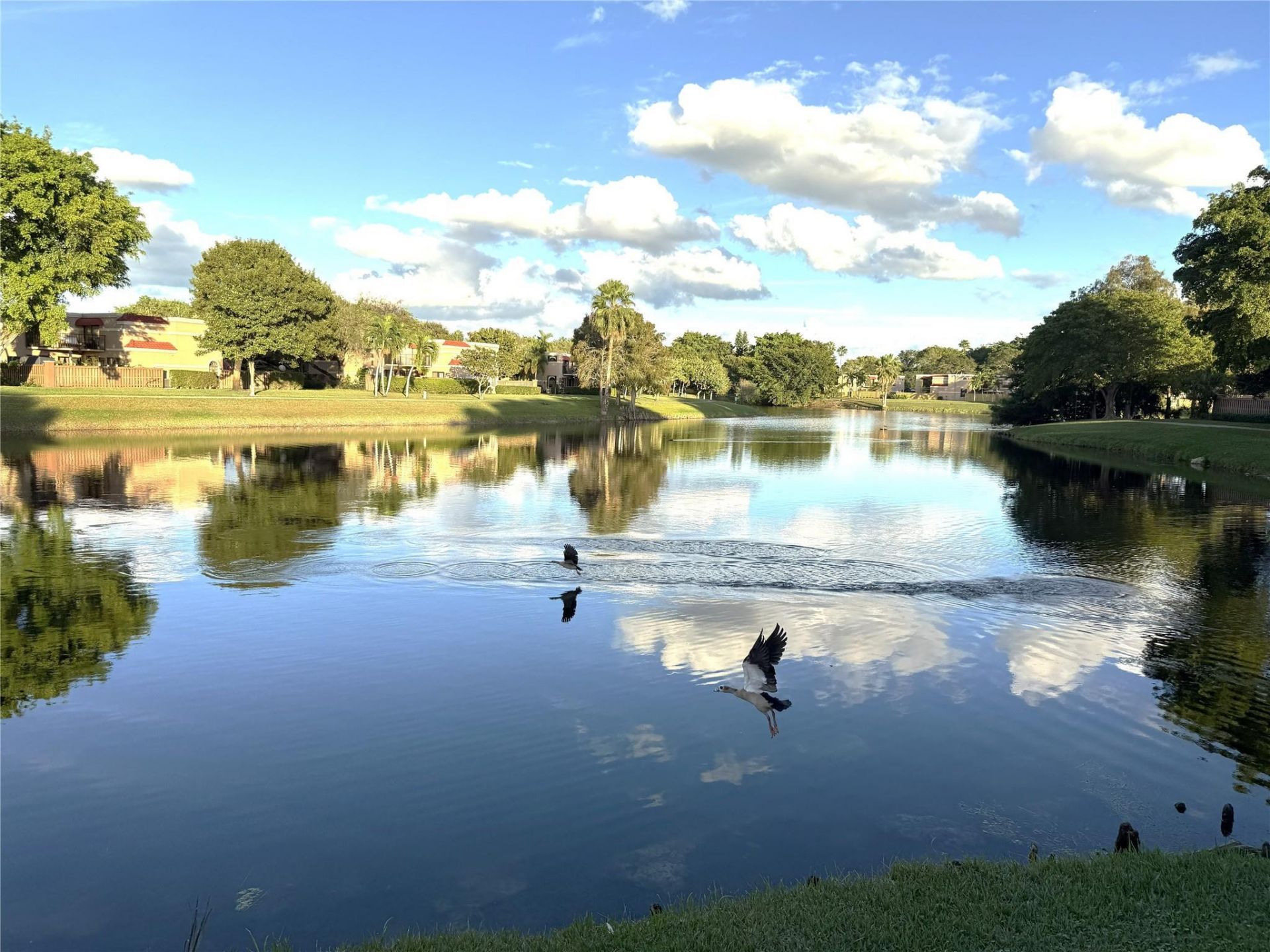 8171 Severn Dr, Unit D, Boca Raton, FL 33433 Photo