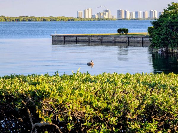 1640 Twelve Oaks Way, Unit 101, North Palm Beach, FL 33408