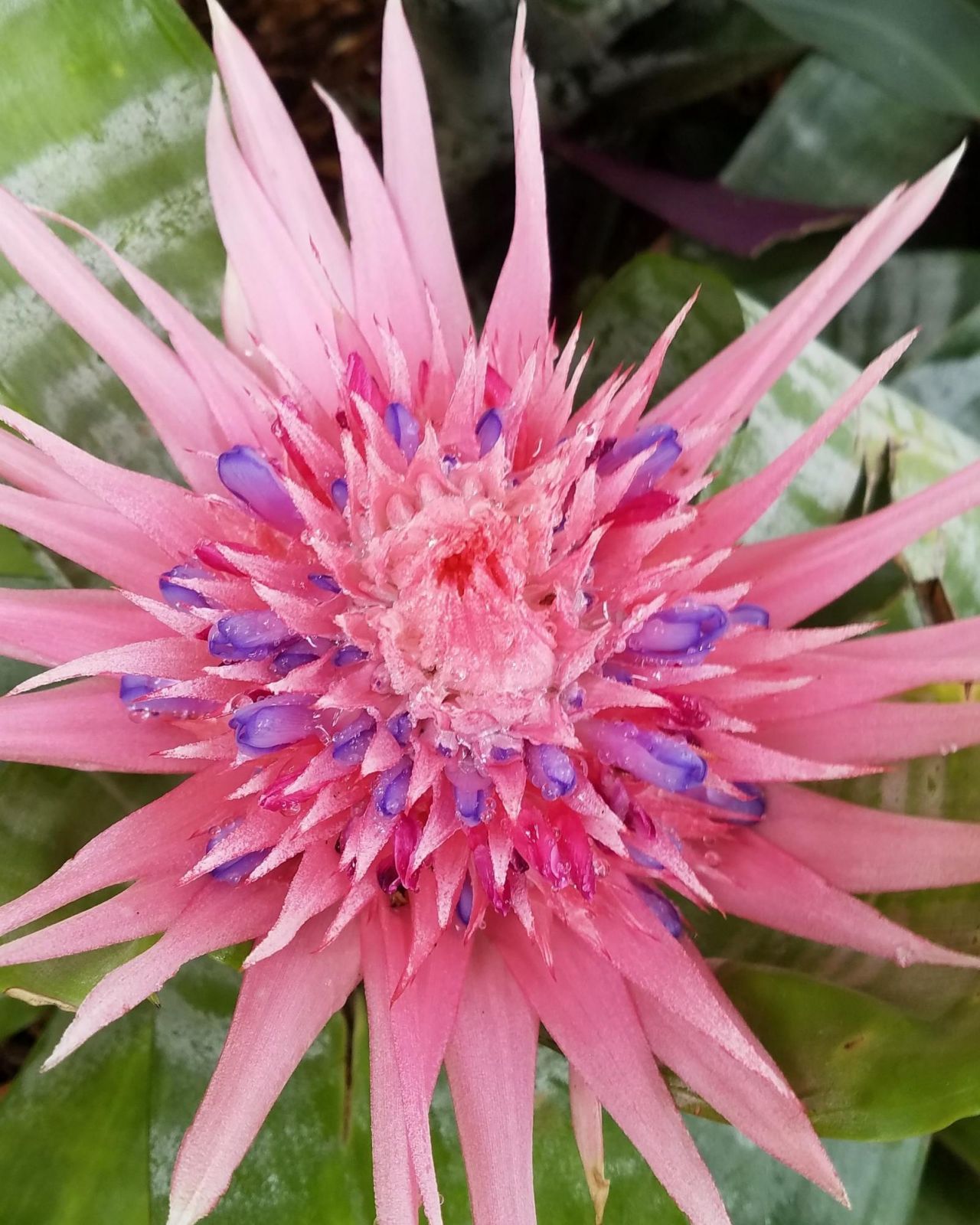 226 NE 1st Avenue, Unit Key Lime S, Delray Beach, FL 33444 Photo