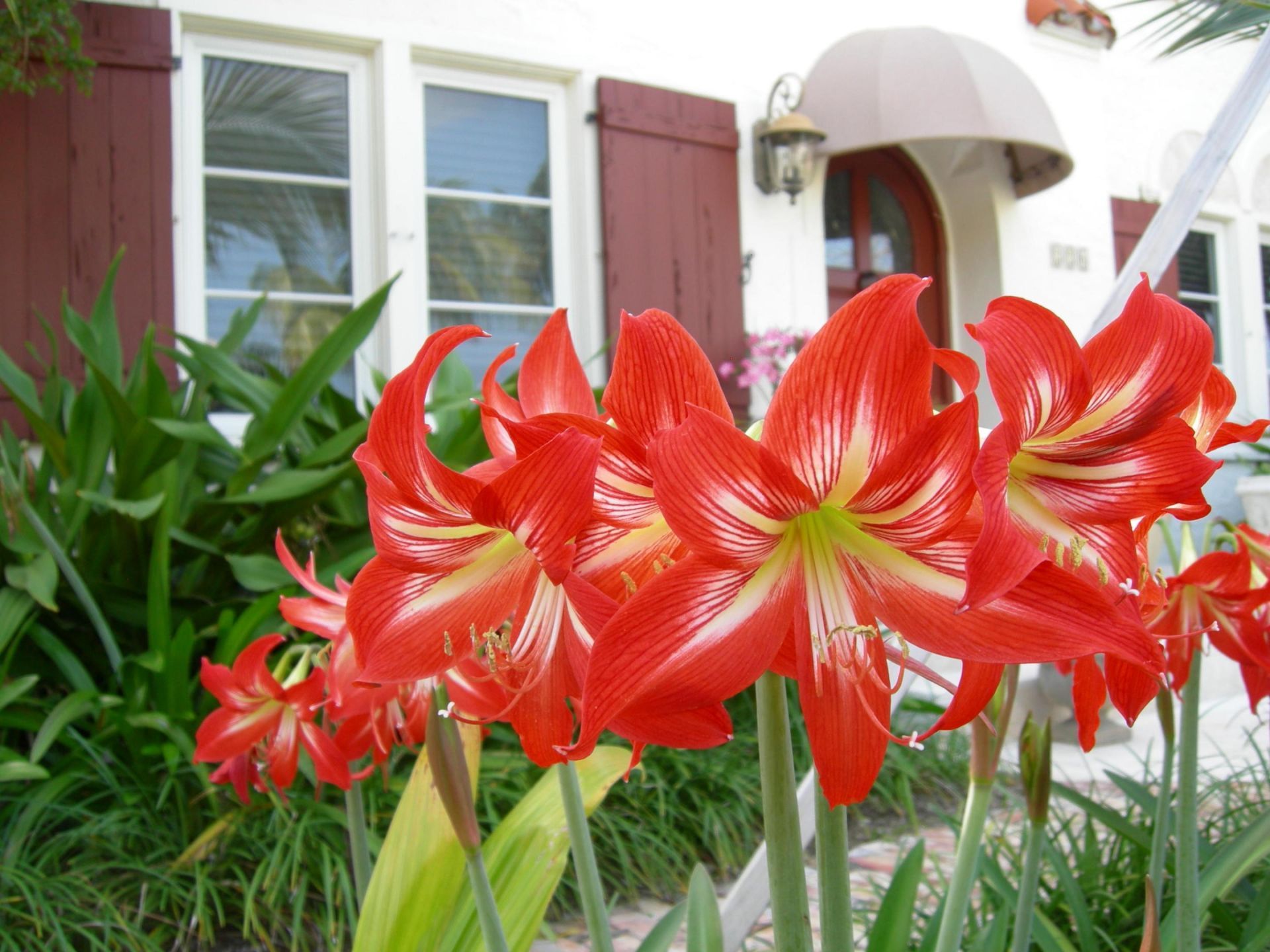 226 NE 1st Avenue, Unit Key Lime S, Delray Beach, FL 33444 Photo