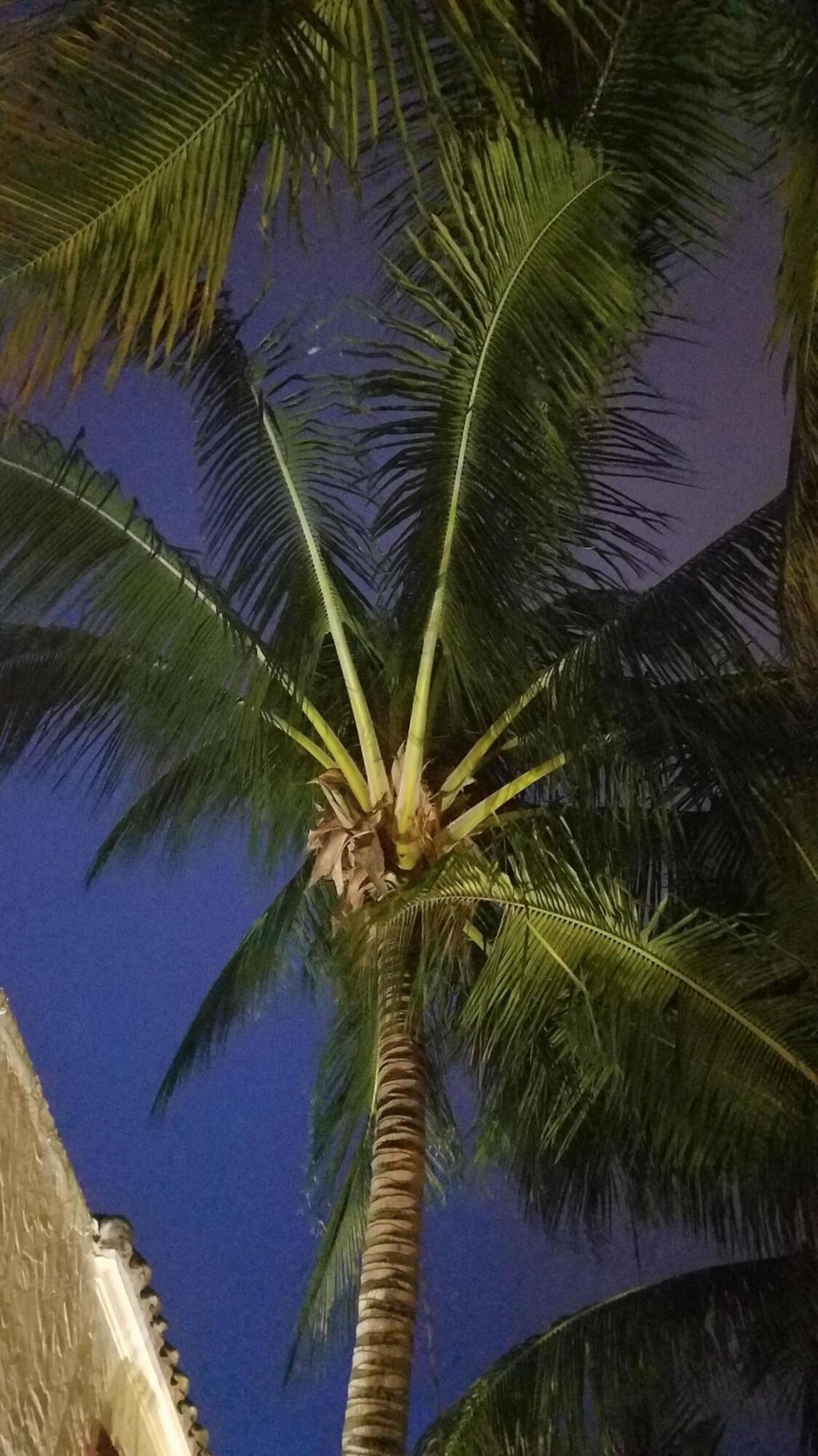 226 NE 1st Avenue, Unit Key Lime S, Delray Beach, FL 33444 Photo