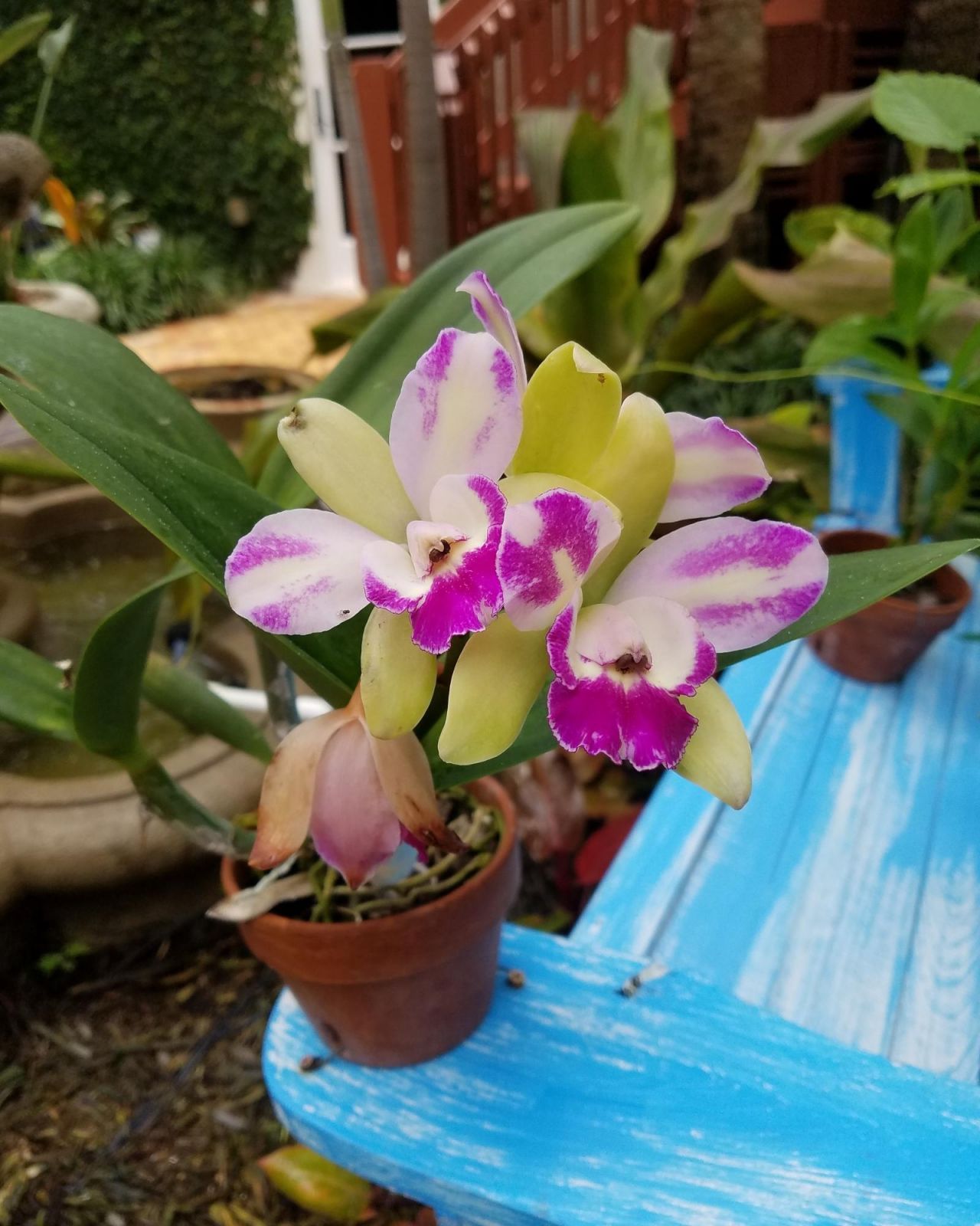 226 NE 1st Avenue, Unit Key Lime S, Delray Beach, FL 33444 Photo