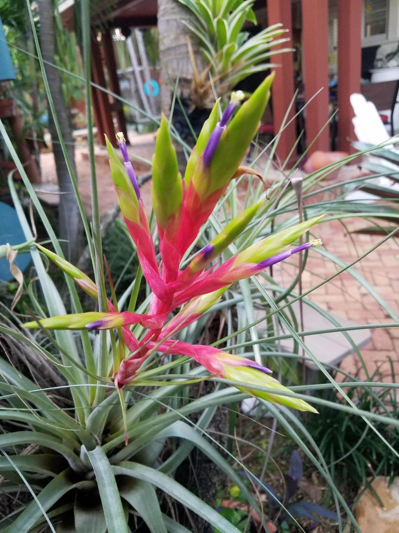 226 NE 1st Avenue, Unit Key Lime S, Delray Beach, FL 33444 Photo