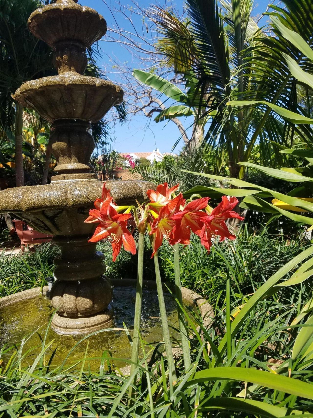 226 NE 1st Avenue, Unit Coco Palm , Delray Beach, FL 33444 Photo