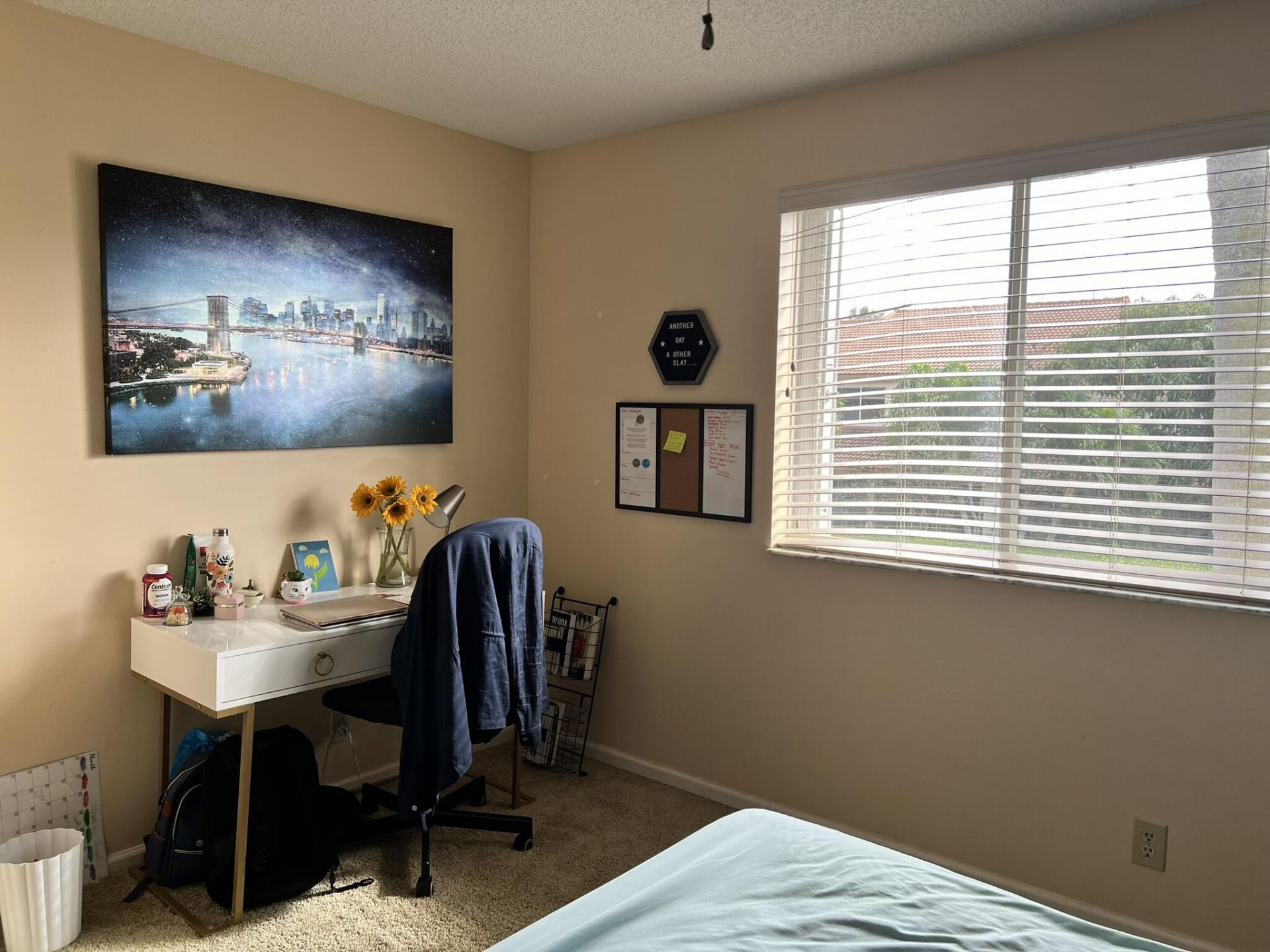 6787 Via Regina, Boca Raton, FL 33433 Photo