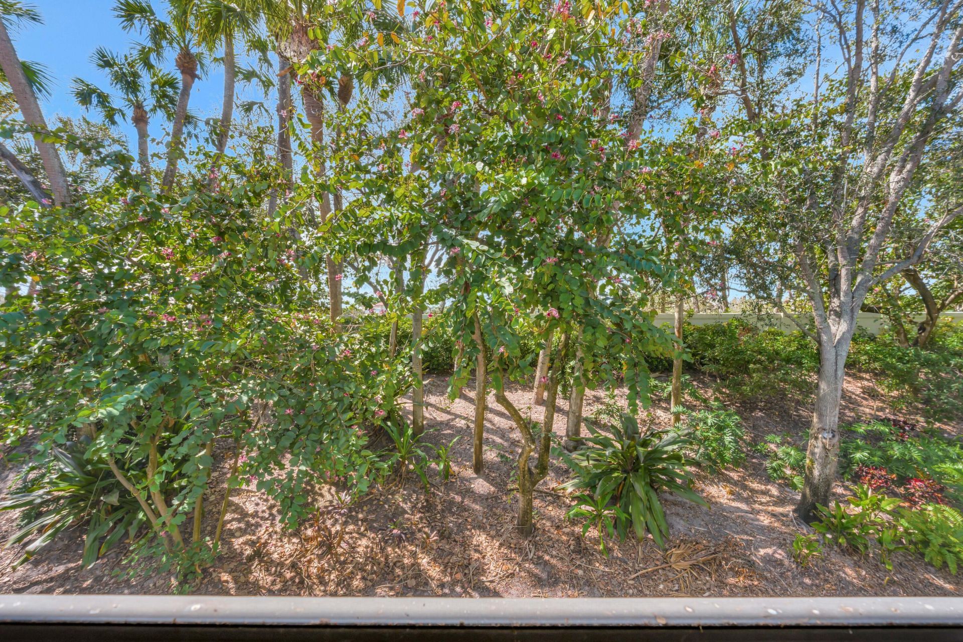 359 Chambord Terrace, Palm Beach Gardens, FL 33410 Photo