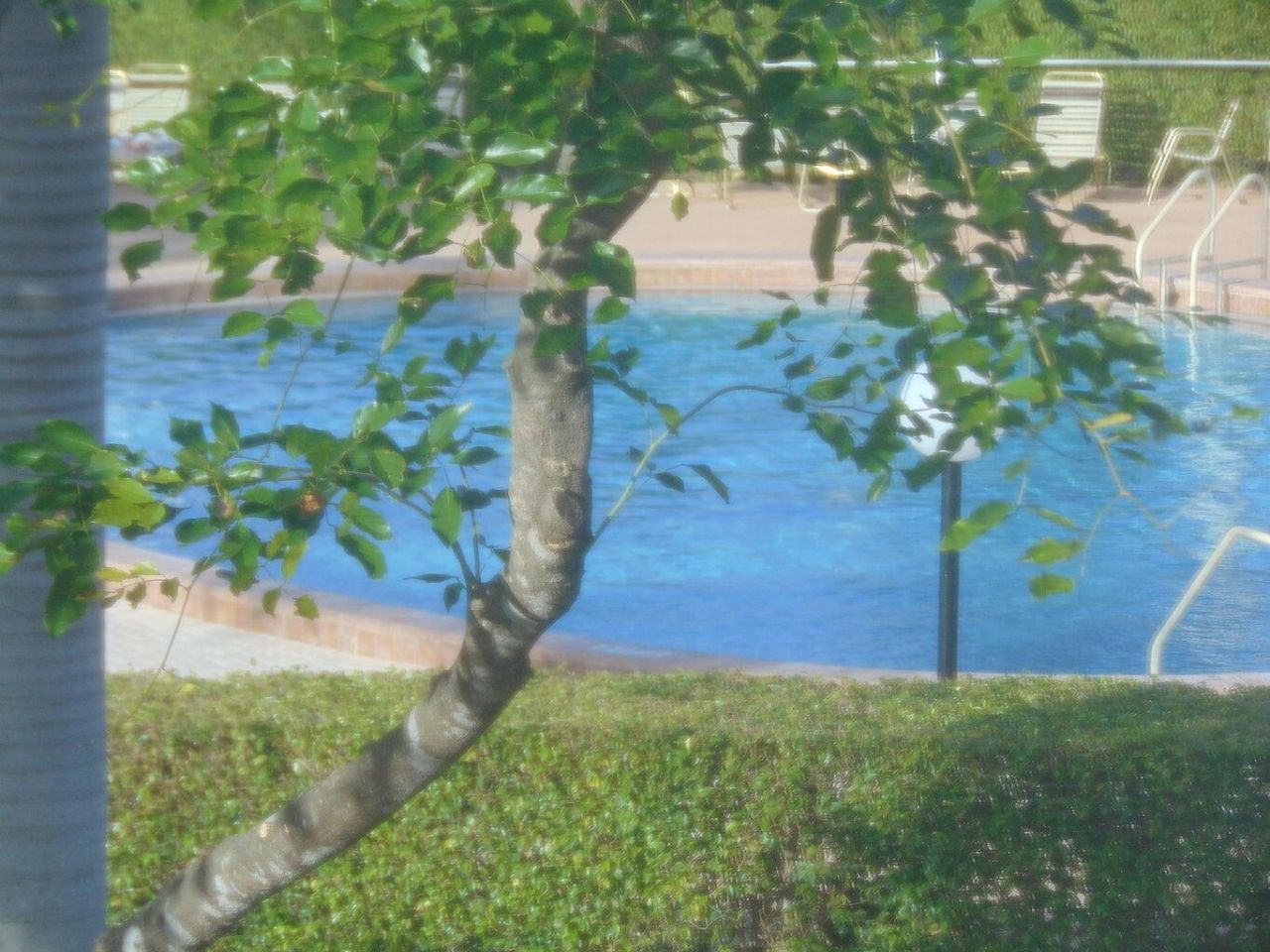 292 Fanshaw G, Unit 292, Boca Raton, FL 33434 Photo