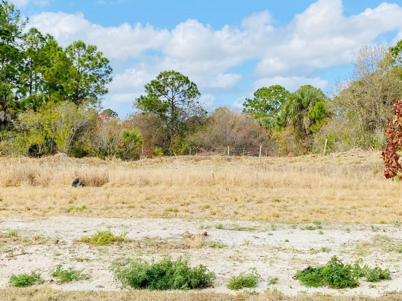 9724 Apollo Avenue, Fort Pierce, FL 34945 Photo