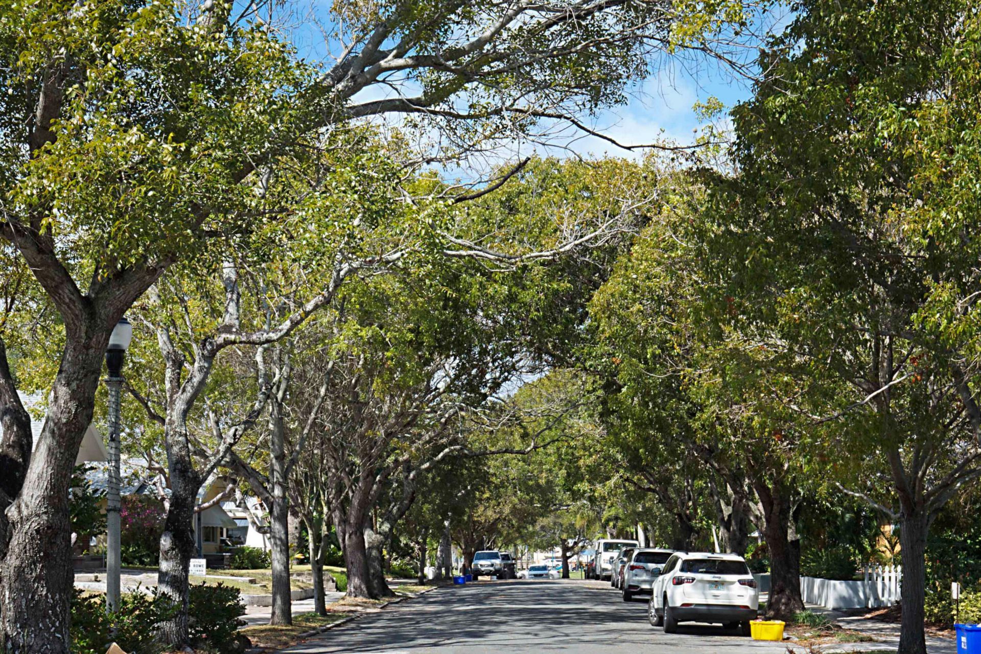 705 New York Street, West Palm Beach, FL 33401 Photo