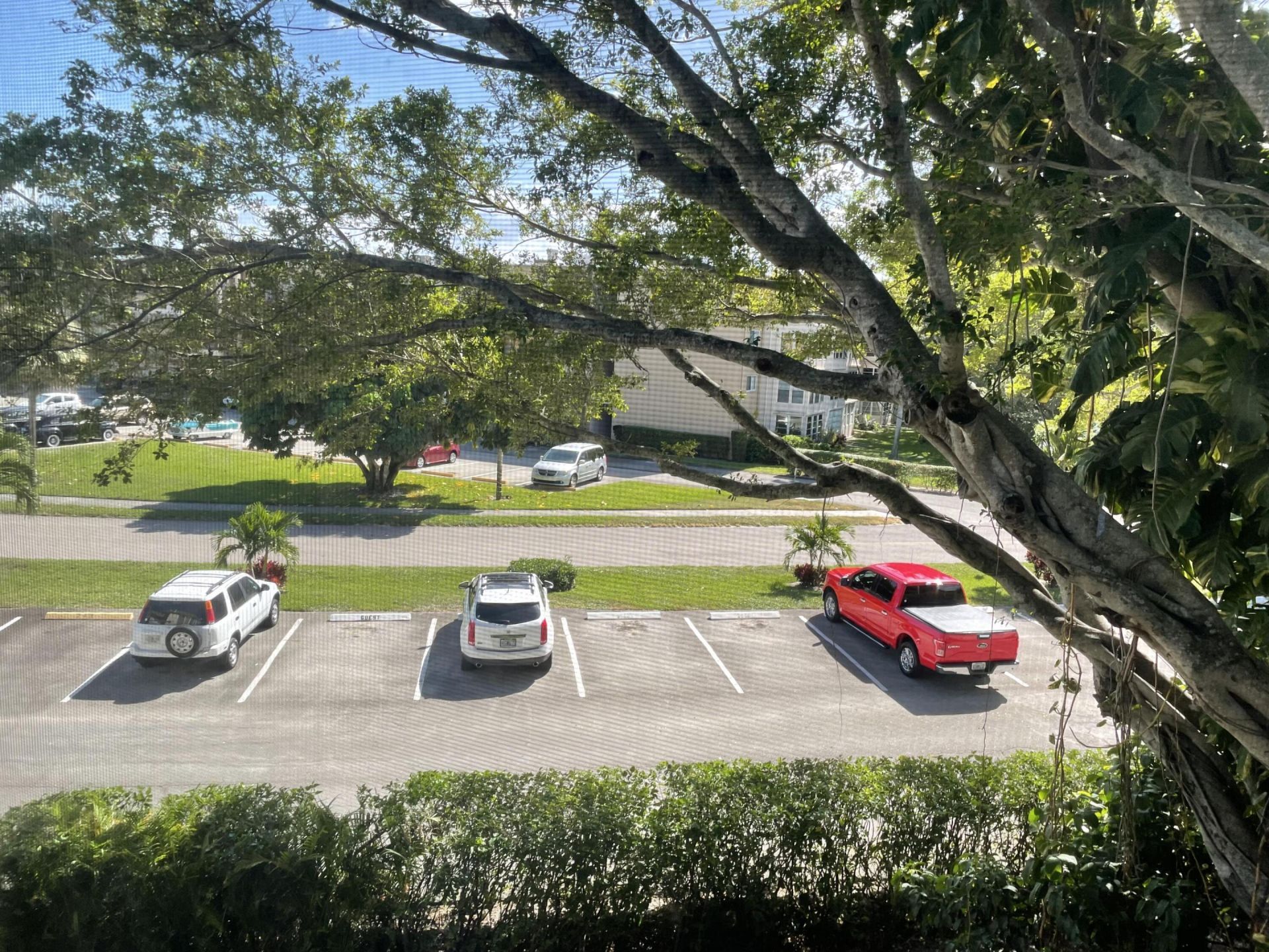 705 Lori Drive, Unit 315, Palm Springs, FL 33461 Photo