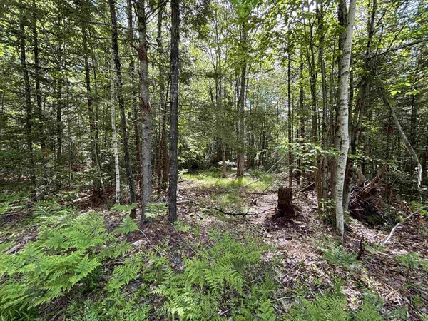 37446 North Shore/Washington Drive, Barnstead, NH 03225