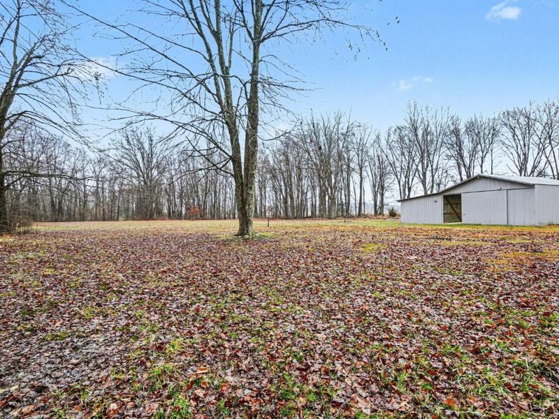 11527 Fite Hauck Road, Sardinia, OH 45171 Photo 14