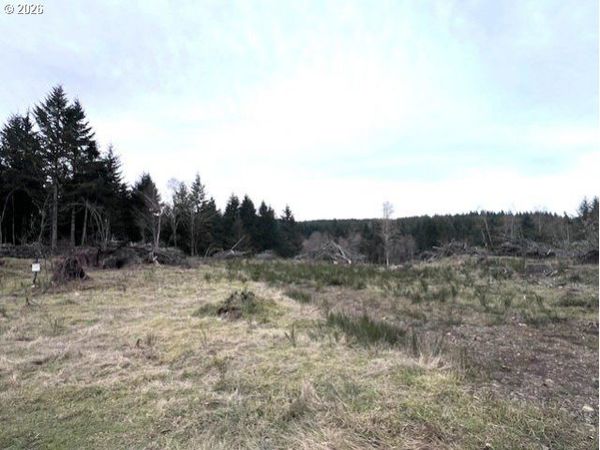 Cochran RD, Timber, OR 97144