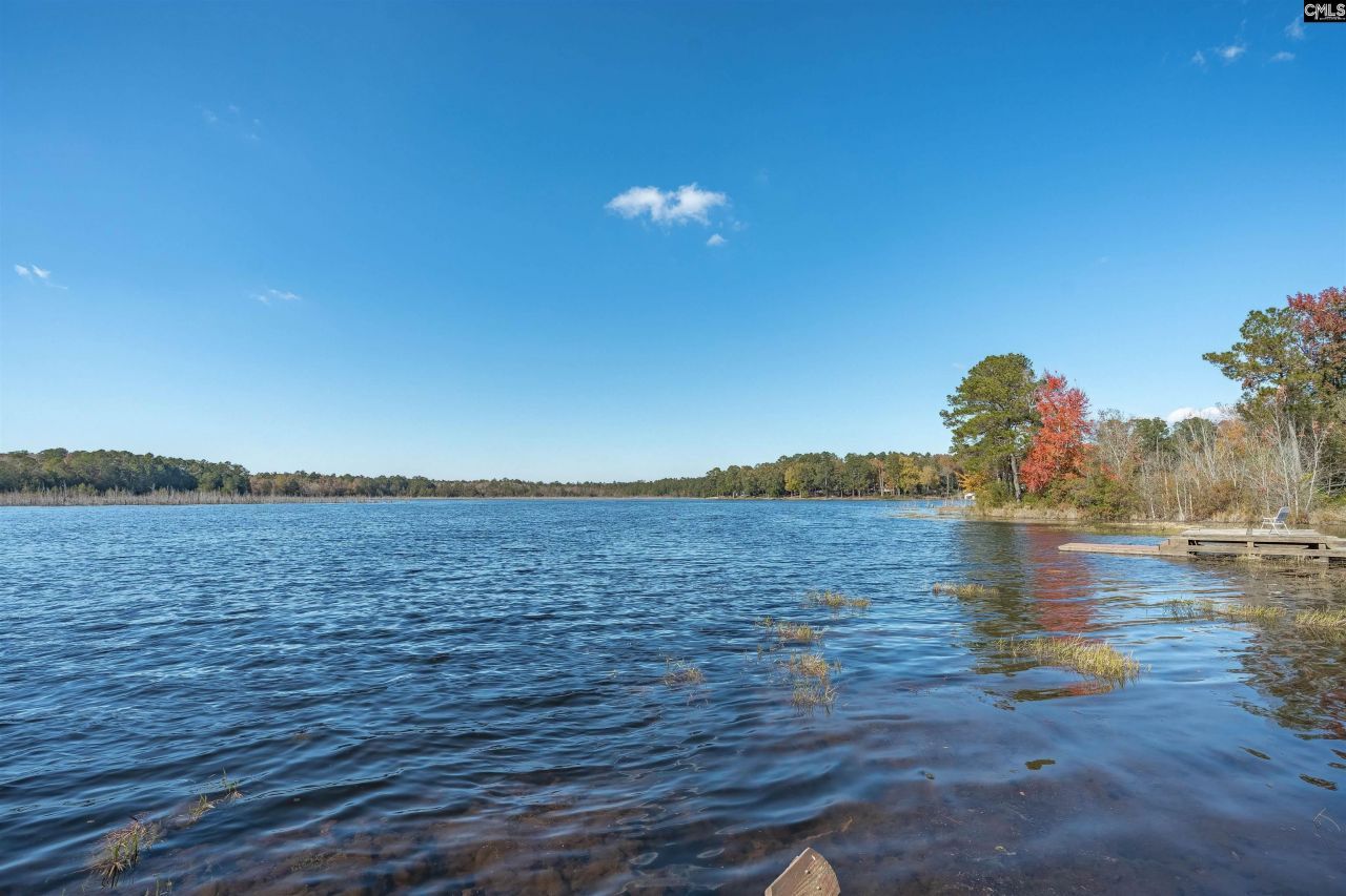 105 Dogwood Shores Lane Photo 5