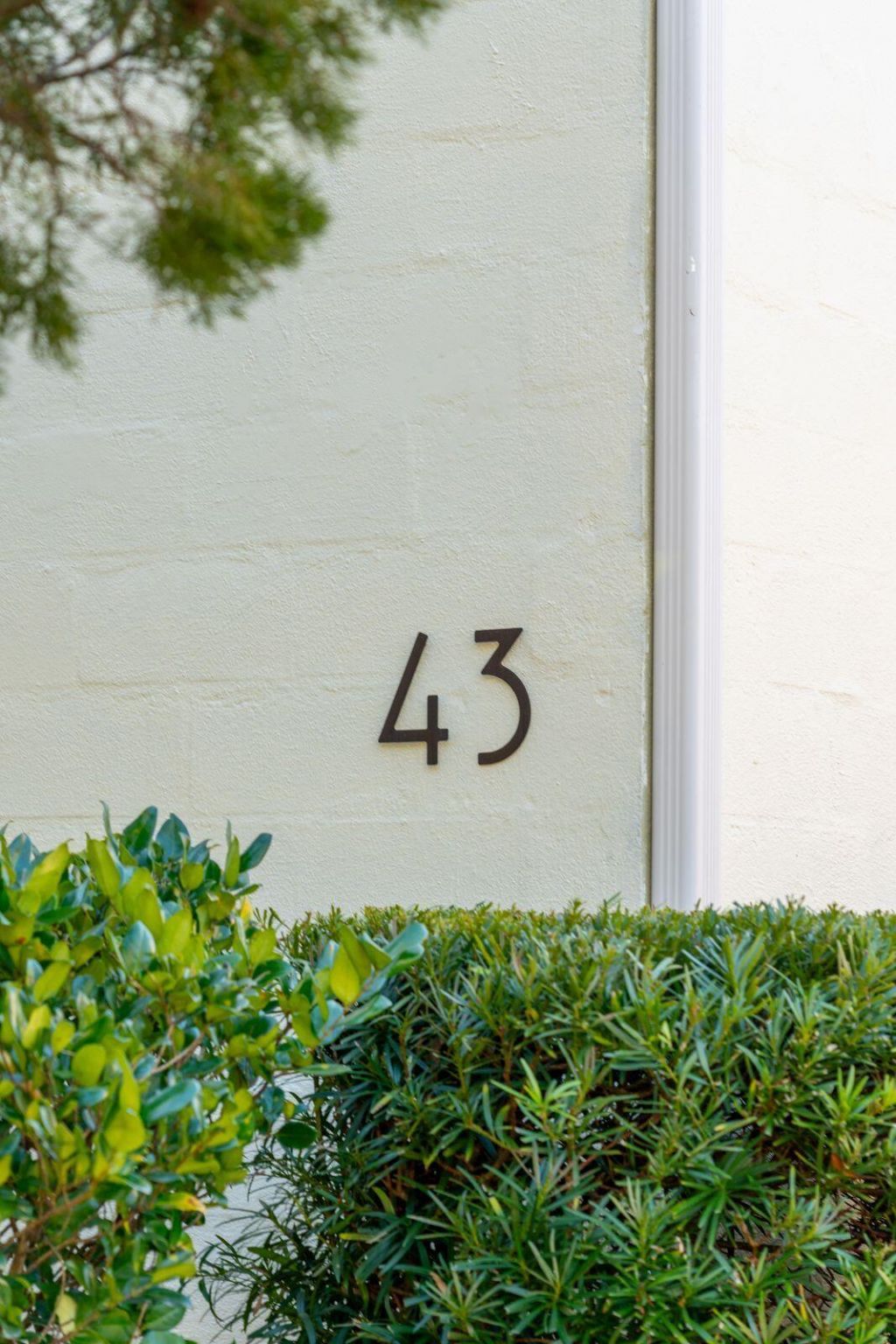 43 St Margaret Street Photo 5