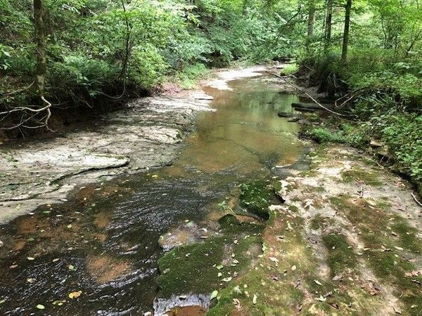 2270 Shuler Branch Rd , Ethridge, TN 38456