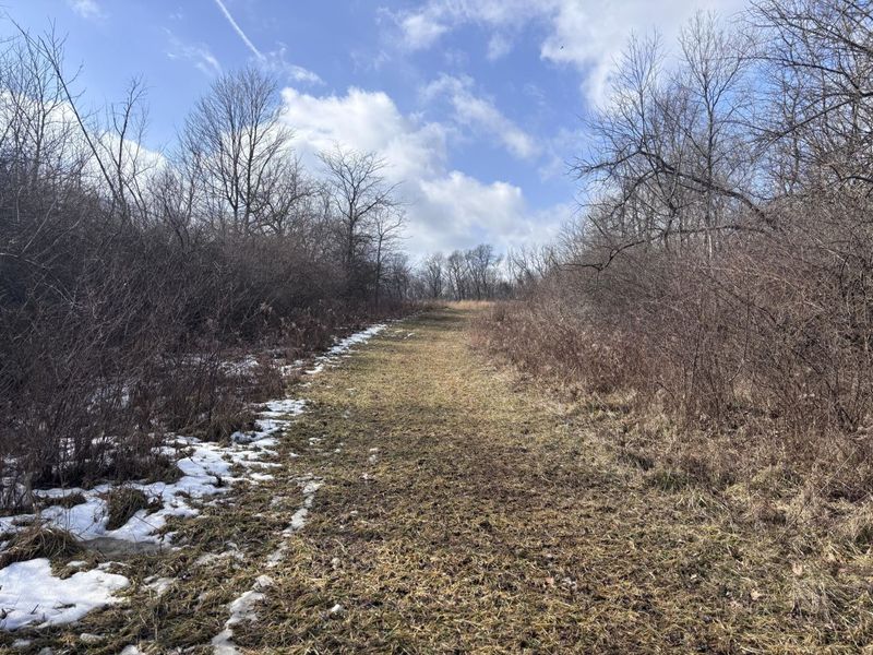 924 Eris Road, Urbana, OH 43078 Photo 17