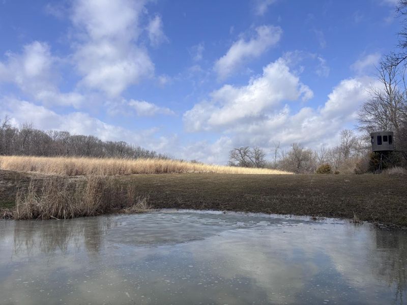 924 Eris Road, Urbana, OH 43078 Photo 18