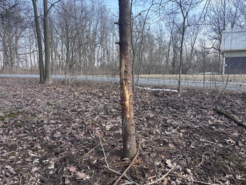 924 Eris Road, Urbana, OH 43078 Photo 19