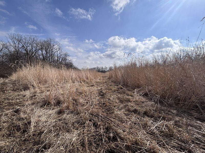 924 Eris Road, Urbana, OH 43078 Photo 20