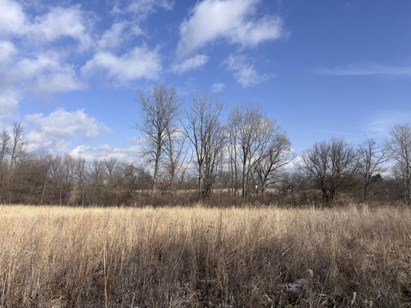 924 Eris Road, Urbana, OH 43078 Photo 22