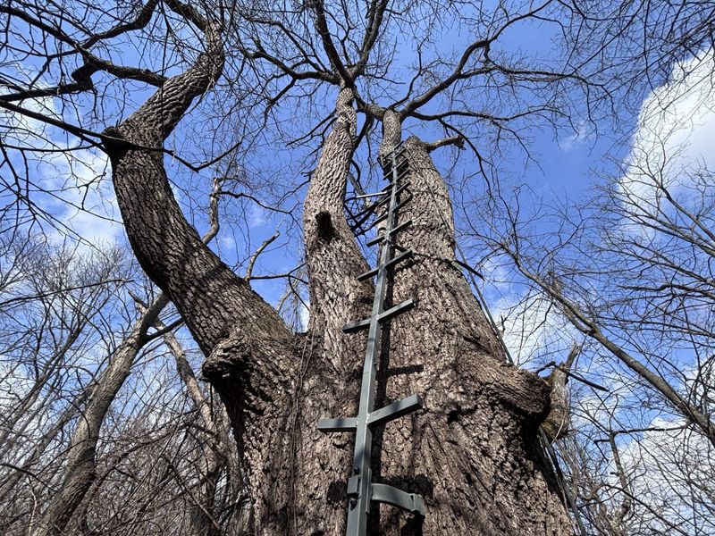 924 Eris Road, Urbana, OH 43078 Photo 25