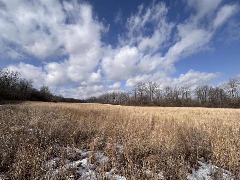 924 Eris Road, Urbana, OH 43078 Photo 29