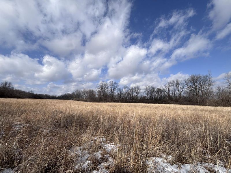 924 Eris Road, Urbana, OH 43078 Photo 31