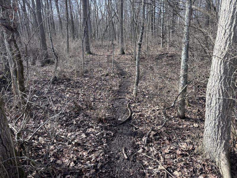 924 Eris Road, Urbana, OH 43078 Photo 32