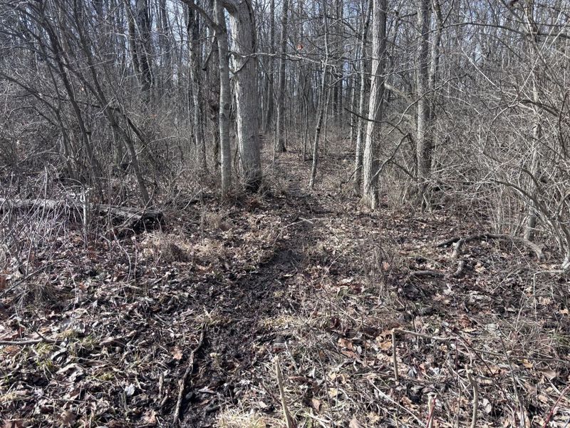 924 Eris Road, Urbana, OH 43078 Photo 35