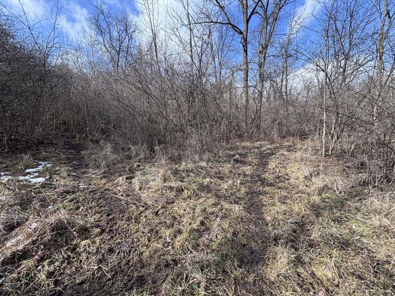 924 Eris Road, Urbana, OH 43078 Photo 36