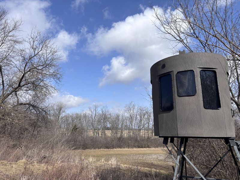 924 Eris Road, Urbana, OH 43078 Photo 38